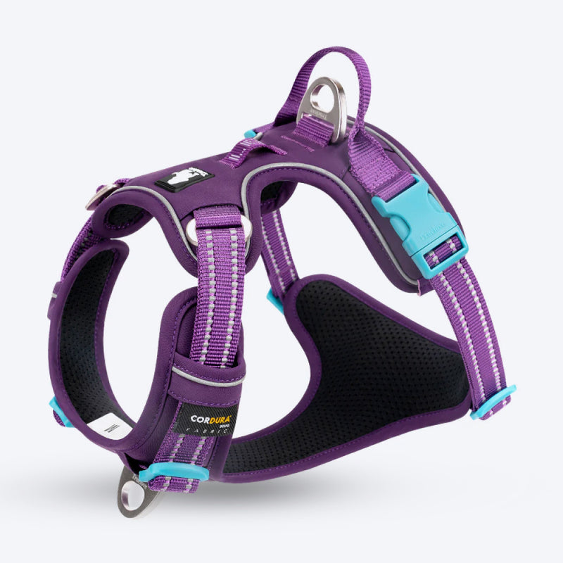 Truelove No Pull Cordura Harness For Dog - Purple - Heads Up For Tails