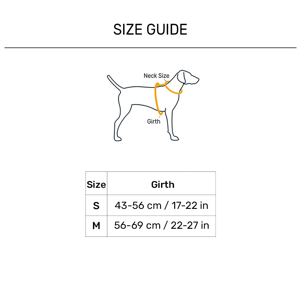 Truelove Step-In Harness For Dog With 3M Reflective Fabric - Blue - Heads Up For Tails