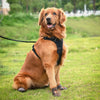 Truelove Waterproof With Reflective Straps Shoes For Dog - Pinecone & Glazed Ginger (Set of 4) - Heads Up For Tails
