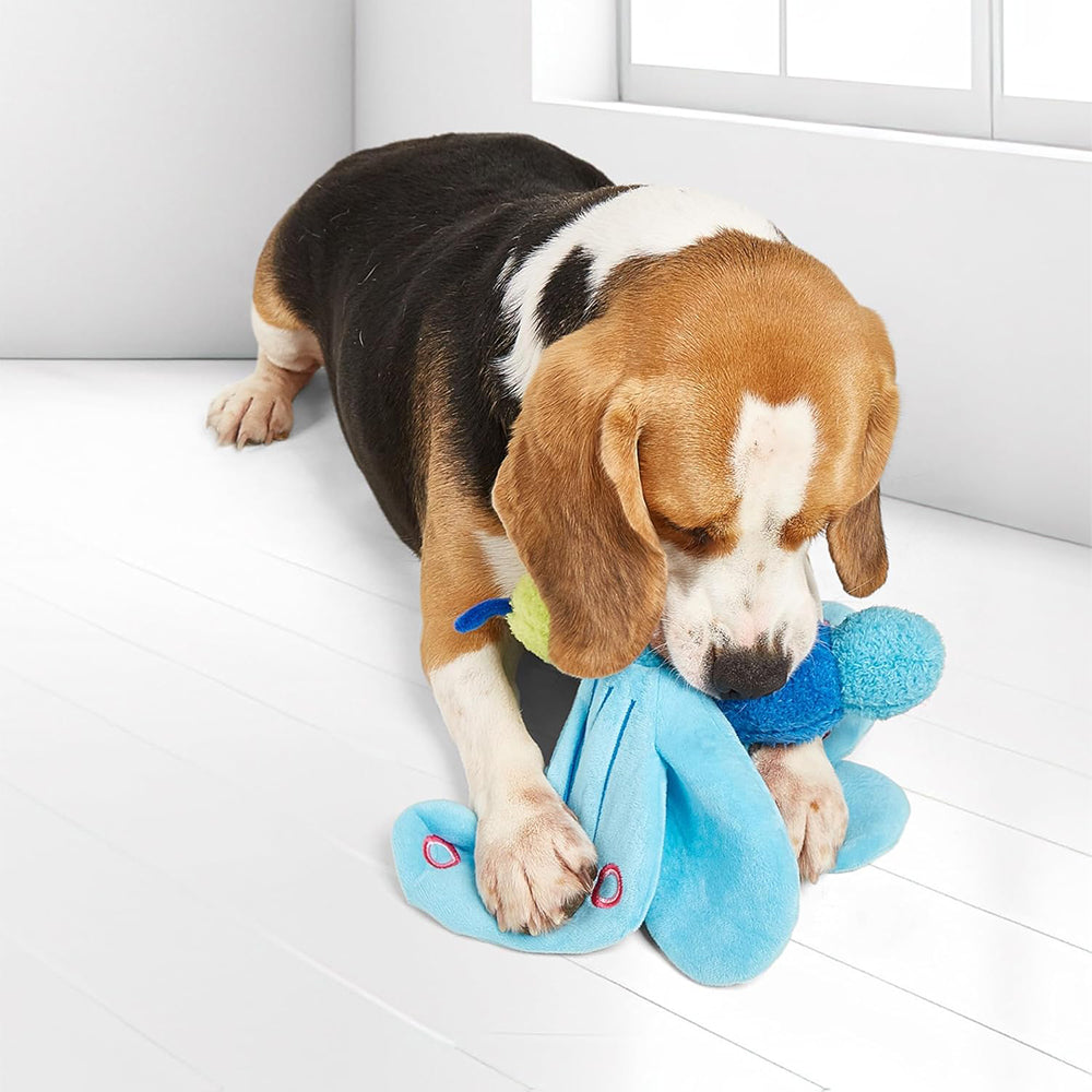 FOFOS Jumbo Butterfly Plush Toy For Dog - Blue - Heads Up For Tails