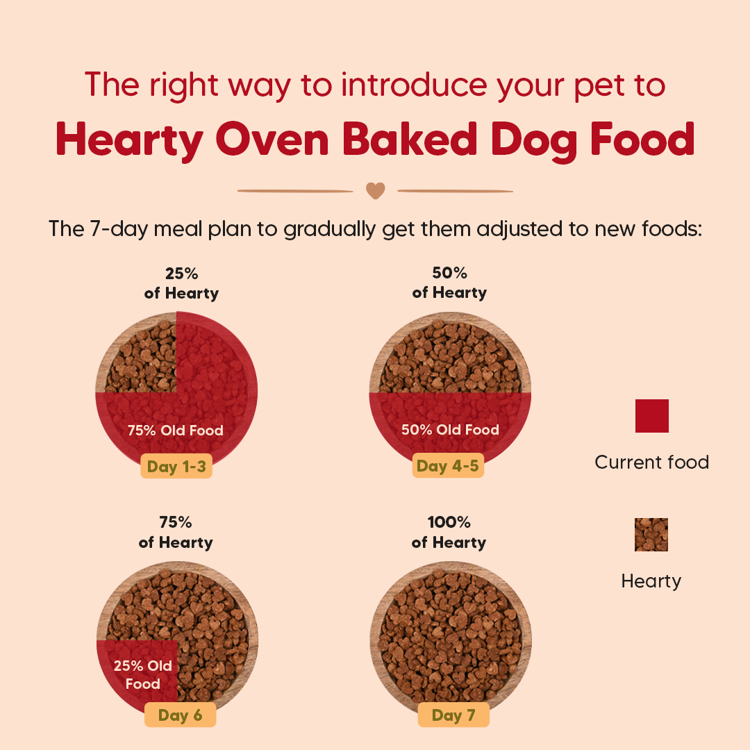 Hearty Oven-Baked Dry Food For Puppies With Chicken, Fish & Indian Herbs (All Breeds) - Heads Up For Tails