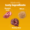 Pedigree Tasty Jerky Roasted Lamb Flavour Treat For Adult Dog - 70 g - Heads Up For Tails