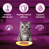 Whiskas Tuna and Chicken Meat in Jelly Flavour (1+ Years) Adult Cat Wet Food - 80 gm Pack