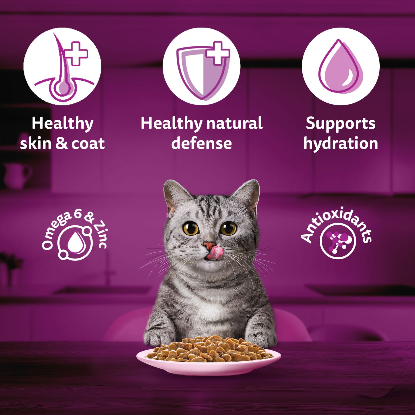 Whiskas Salmon in Gravy (1+ Years) Wet Food For Adult Cat - 80 gm Pack - Heads Up For Tails