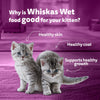 Whiskas Junior Kitten (2-12 Months) Salmon in Jelly Flavour Wet Cat Food - 80 gm Pack