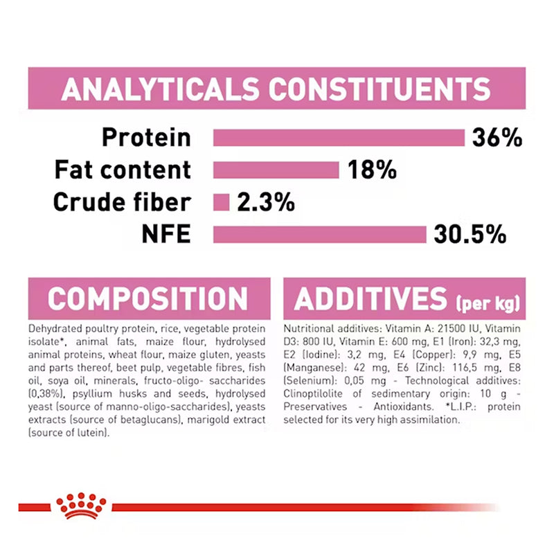 Royal Canin Kitten Dry Cat Food - Heads Up For Tails