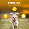 Pedigree Chicken & Milk Puppy Dry Dog Food (Contains 37 Essential Nutrients)