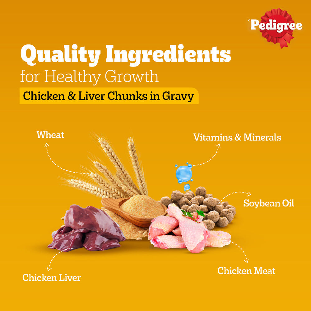 Pedigree Chicken & Liver Chunks in Gravy Adult Wet Dog Food - 70 g packs - Heads Up For Tails