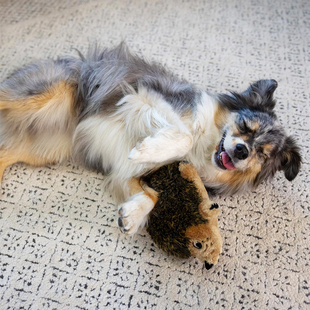 Outward Hound Hedgehogz Plush Toy For Dog - Brown
