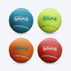 Outward Hound (Nina Ottosson) Squeaker Ballz Fetch Toy For Dog - 4 Pcs - Heads Up For Tails