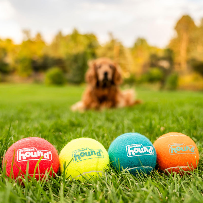 Outward Hound (Nina Ottosson) Squeaker Ballz Fetch Toy For Dog - 4 Pcs - Heads Up For Tails