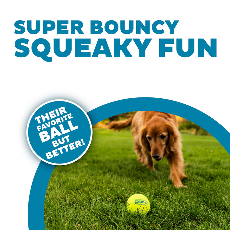 Outward Hound (Nina Ottosson) Squeaker Ballz Fetch Toy For Dog - 4 Pcs - Heads Up For Tails