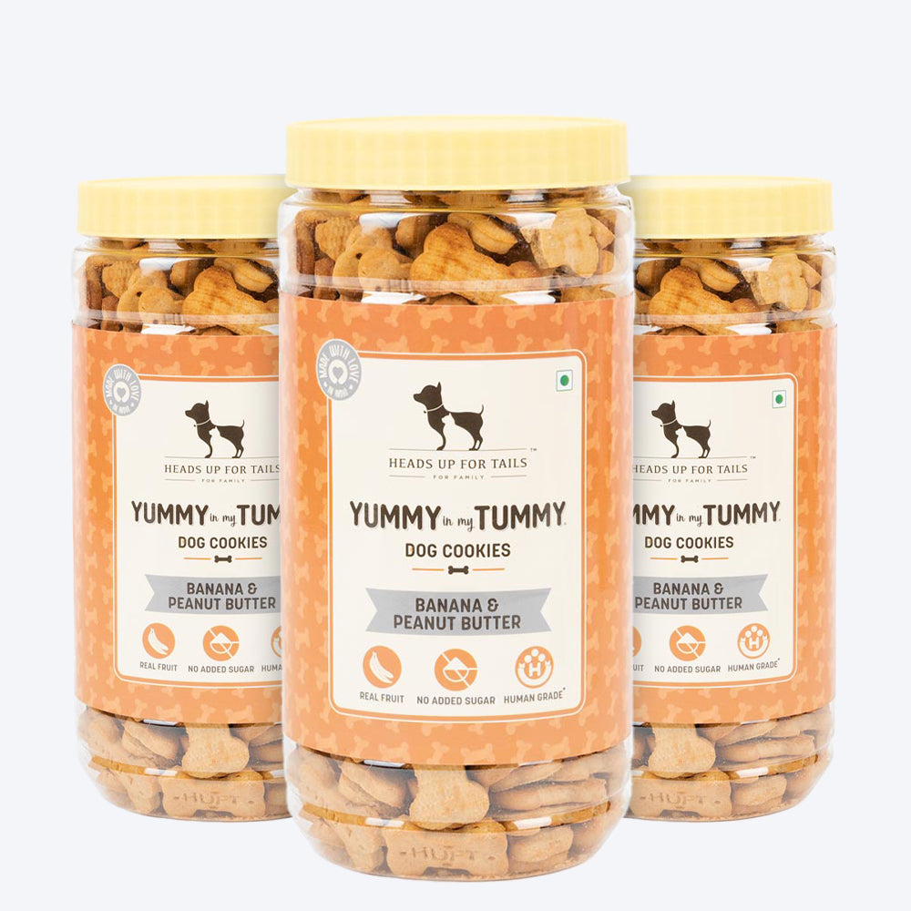 HUFT YIMT Banana & Peanut Butter Dog Biscuits - Heads Up For Tails