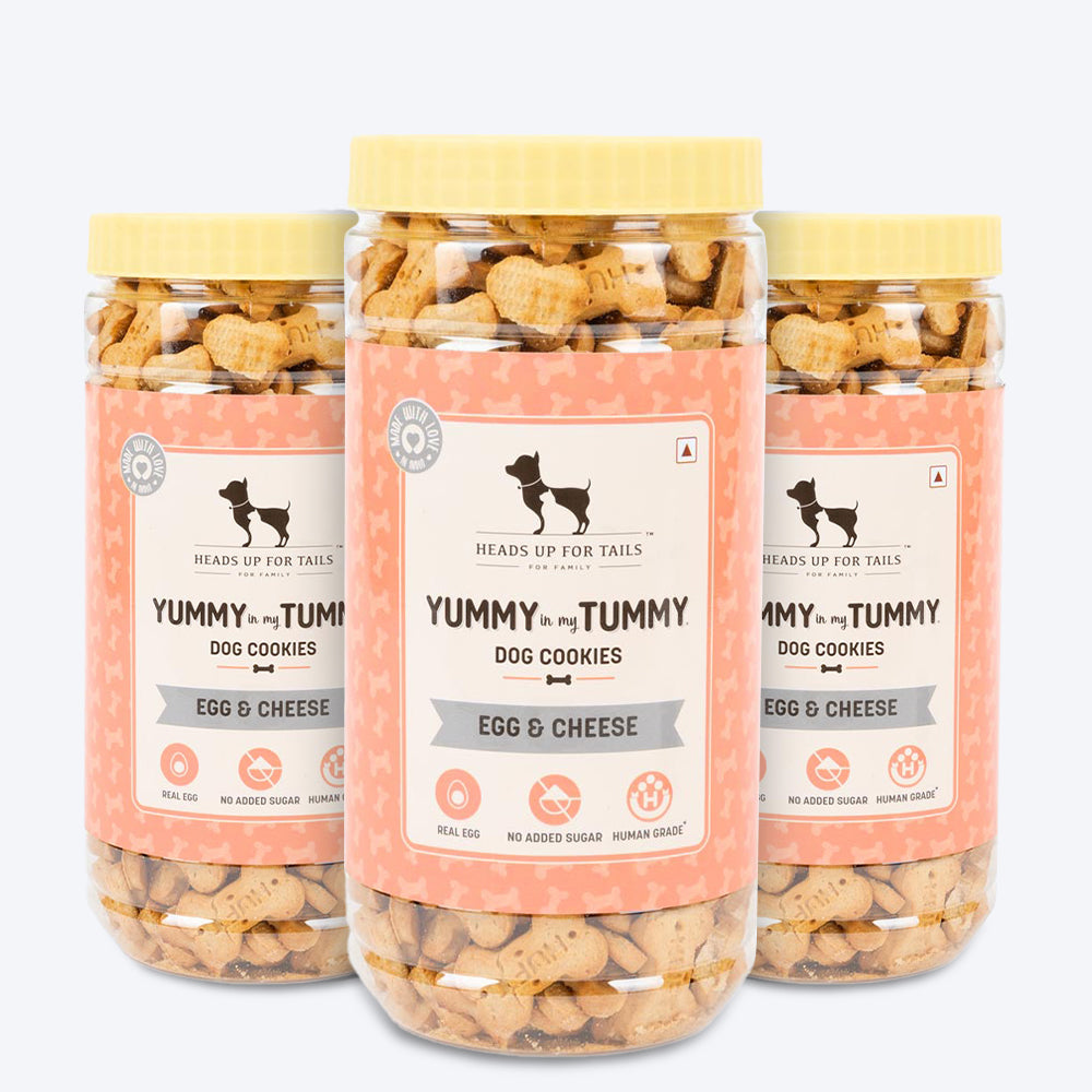 HUFT YIMT Egg & Cheese Dog Biscuits - Heads Up For Tails