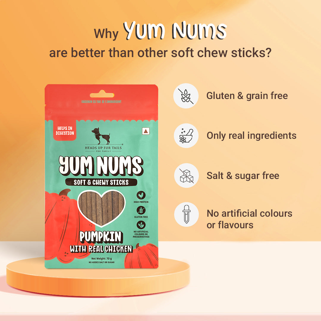 HUFT Yum Nums Soft & Chewy Sticks Pumpkin with Real Chicken Treat For Dogs - 70 g - Heads Up For Tails