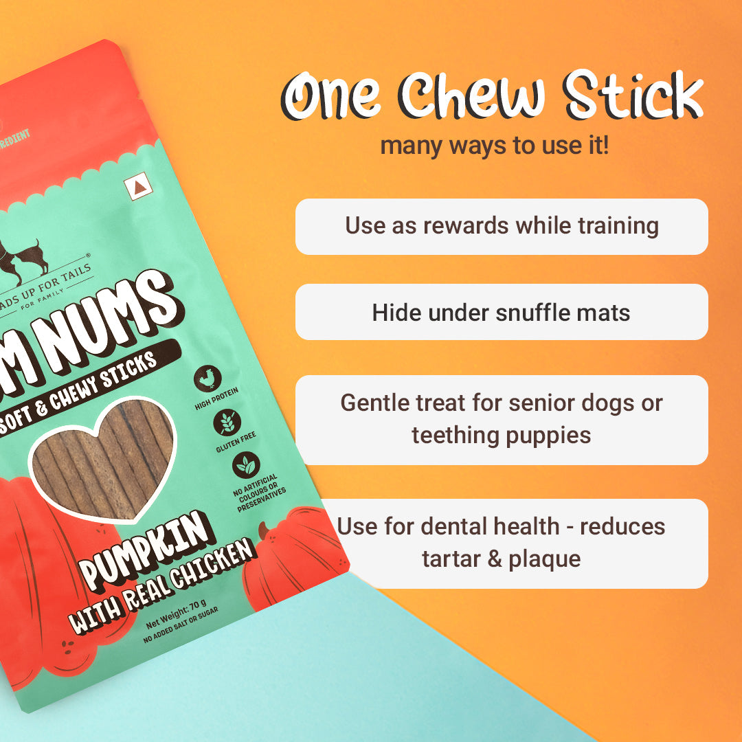 HUFT Yum Nums Soft & Chewy Sticks Pumpkin with Real Chicken Treat For Dogs - 70 g - Heads Up For Tails