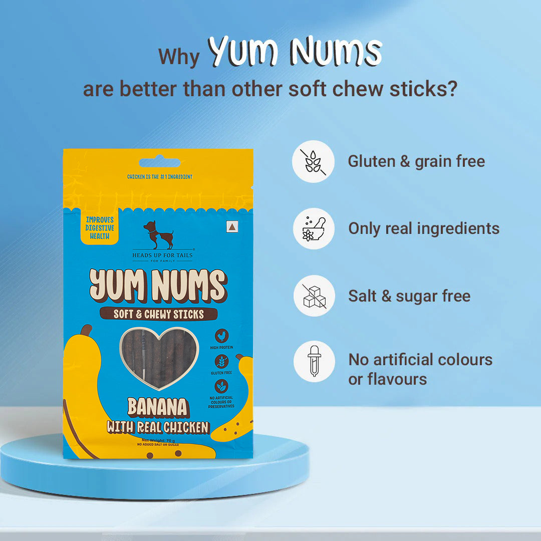 HUFT YumFusion Treat & Wet Food Combo: Banana & Chicken With Brown Rice Feast For Dogs - Heads Up For Tails