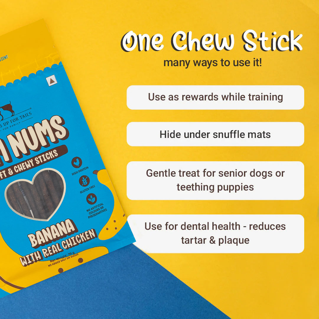 HUFT YumFusion Treat & Wet Food Combo: Banana & Chicken With Brown Rice Feast For Dogs - Heads Up For Tails