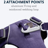 Ruffwear Front Range Harness For Dog - Purple Sage - Heads Up For Tails