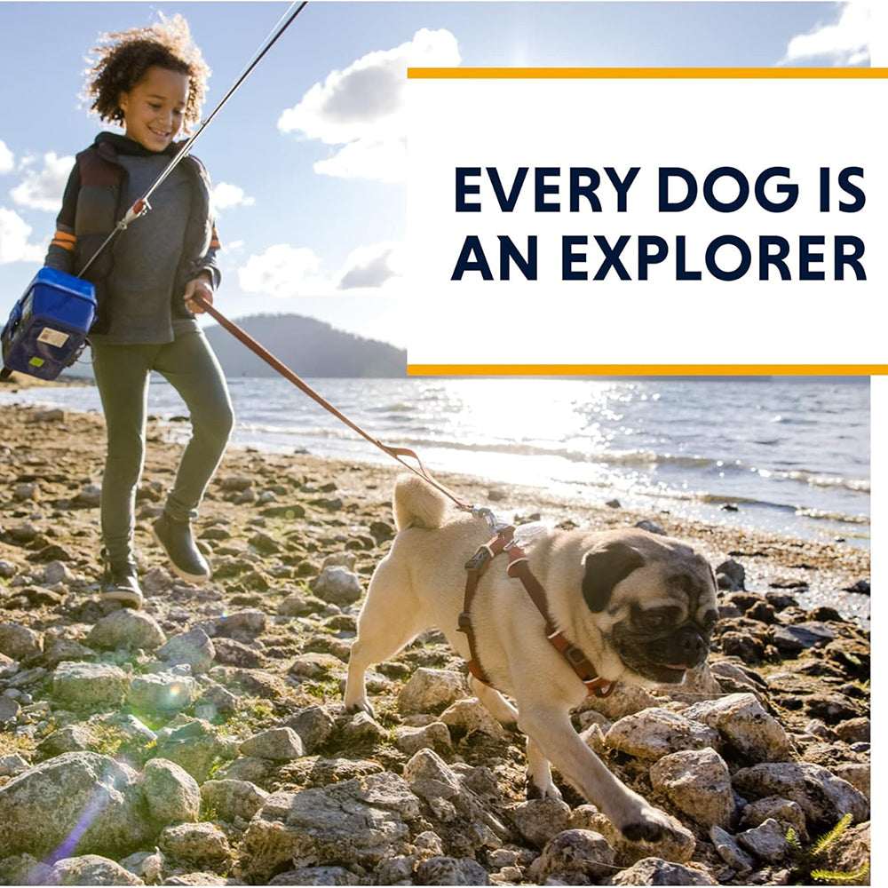 Ruffwear Front Range Leash For Dog