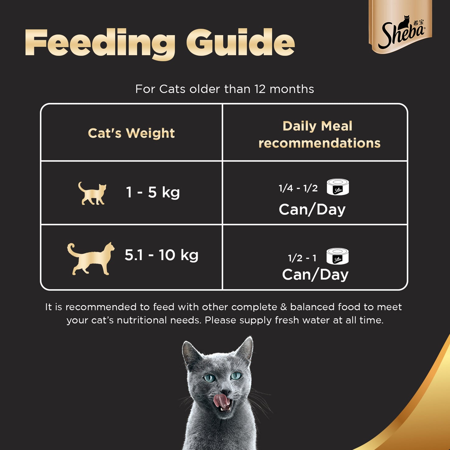 Sheba Succulent Chicken Breast in Gravy Adult Wet Cat Food - 85 g - Pack Of 1 - Heads Up For Tails
