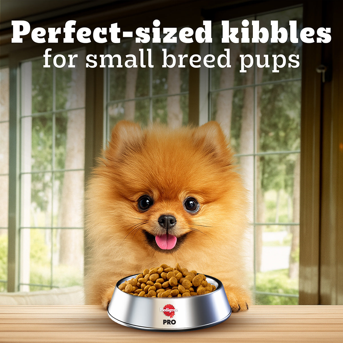Pedigree PRO Expert Nutrition Small Breed (2-9 Months) Dry Puppy Food