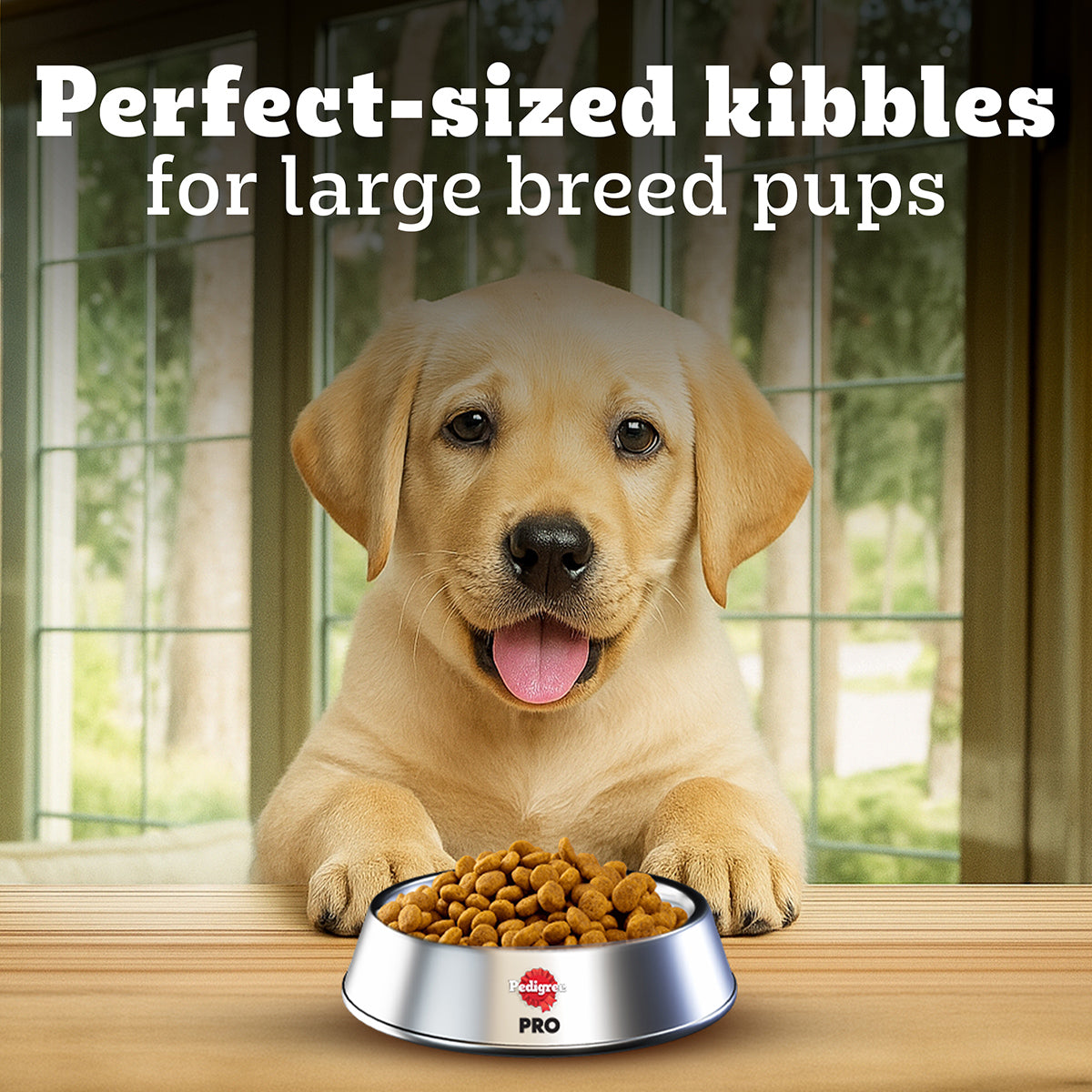 Pedigree PRO Expert Nutrition Dry Dog Food For Large Breed Puppy (3-18 Months) - Heads Up For Tails