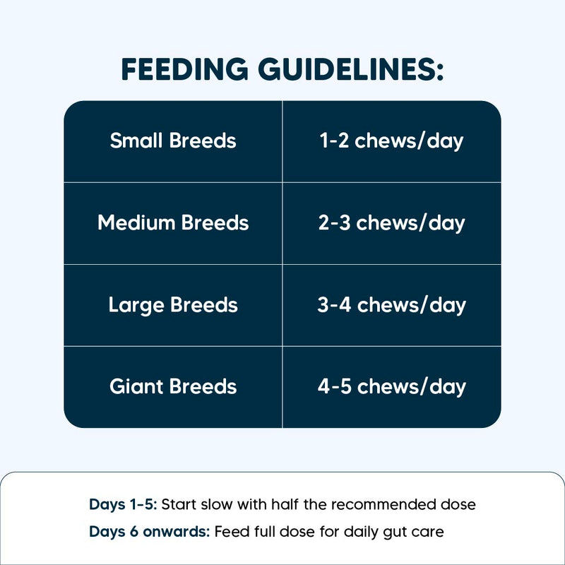 Sara’s Daily Probiotic Chews for Dogs : Total Gut Protection - 70 gm