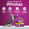 Whiskas Adult (1+ Years) Chicken Flavour Dry Food For Adult Cat - Heads Up For Tails