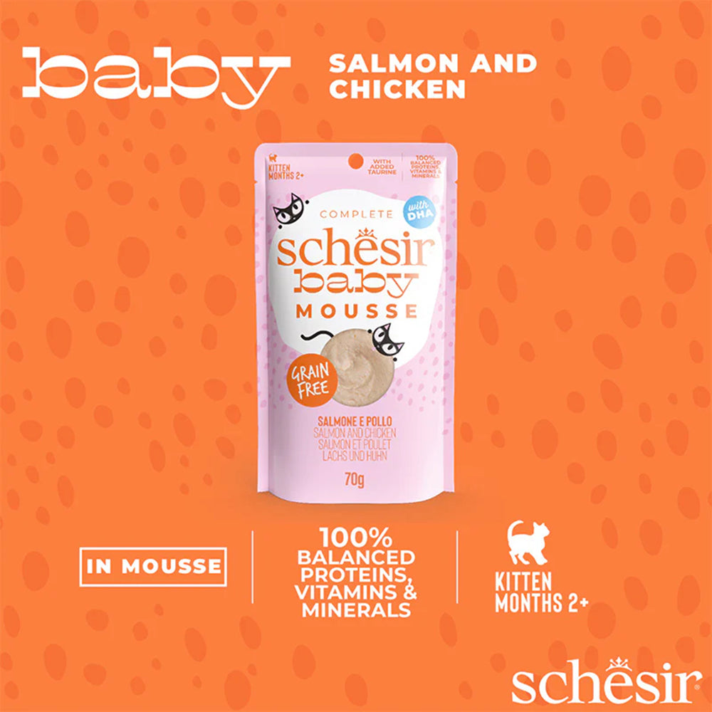 Schesir Baby Mousse Salmon & Chicken Wet Food For Kitten - 70 gm - Heads Up For Tails