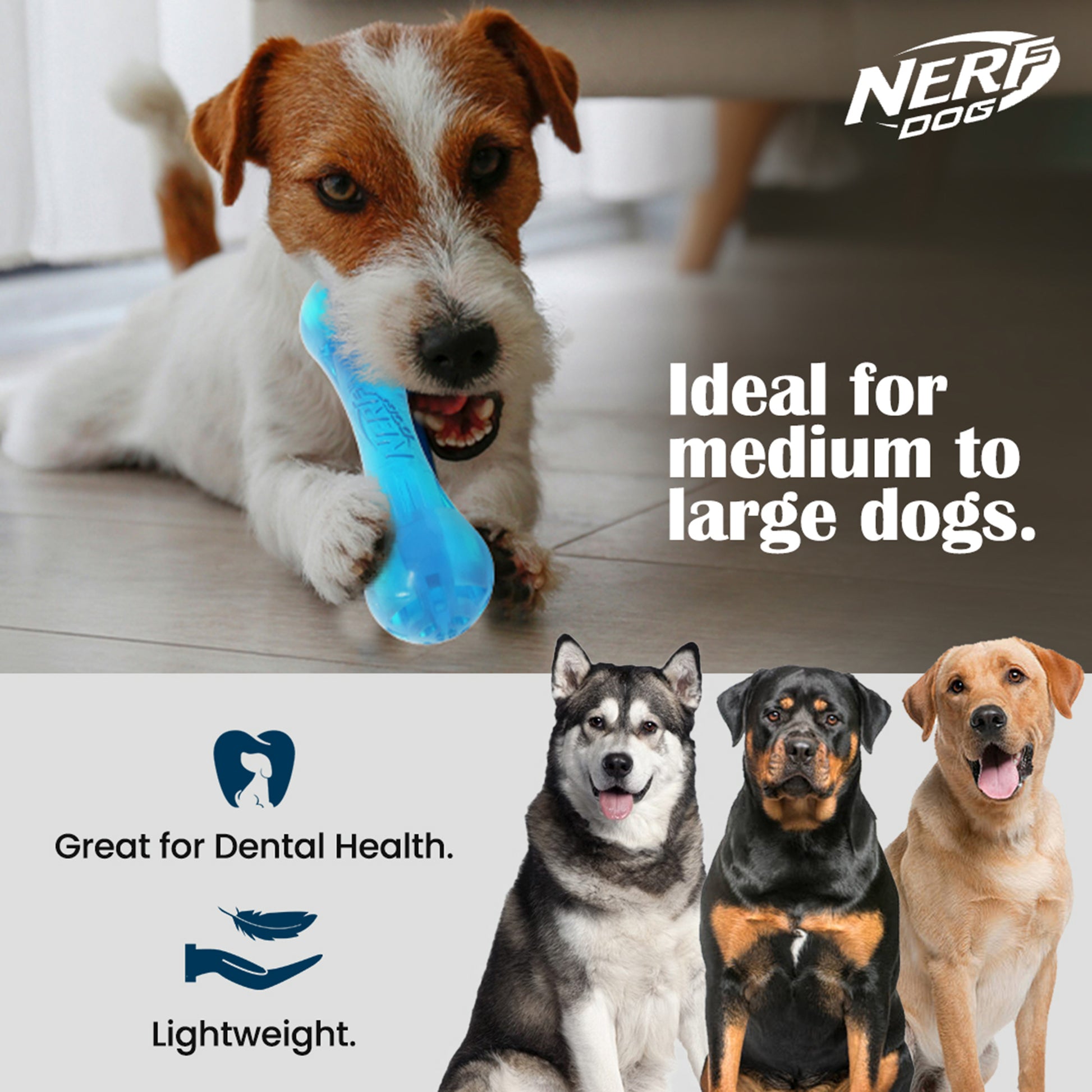 NERF DOG Ultra Tuff Bone Chew Toy For Dog - Blue - Heads Up For Tails