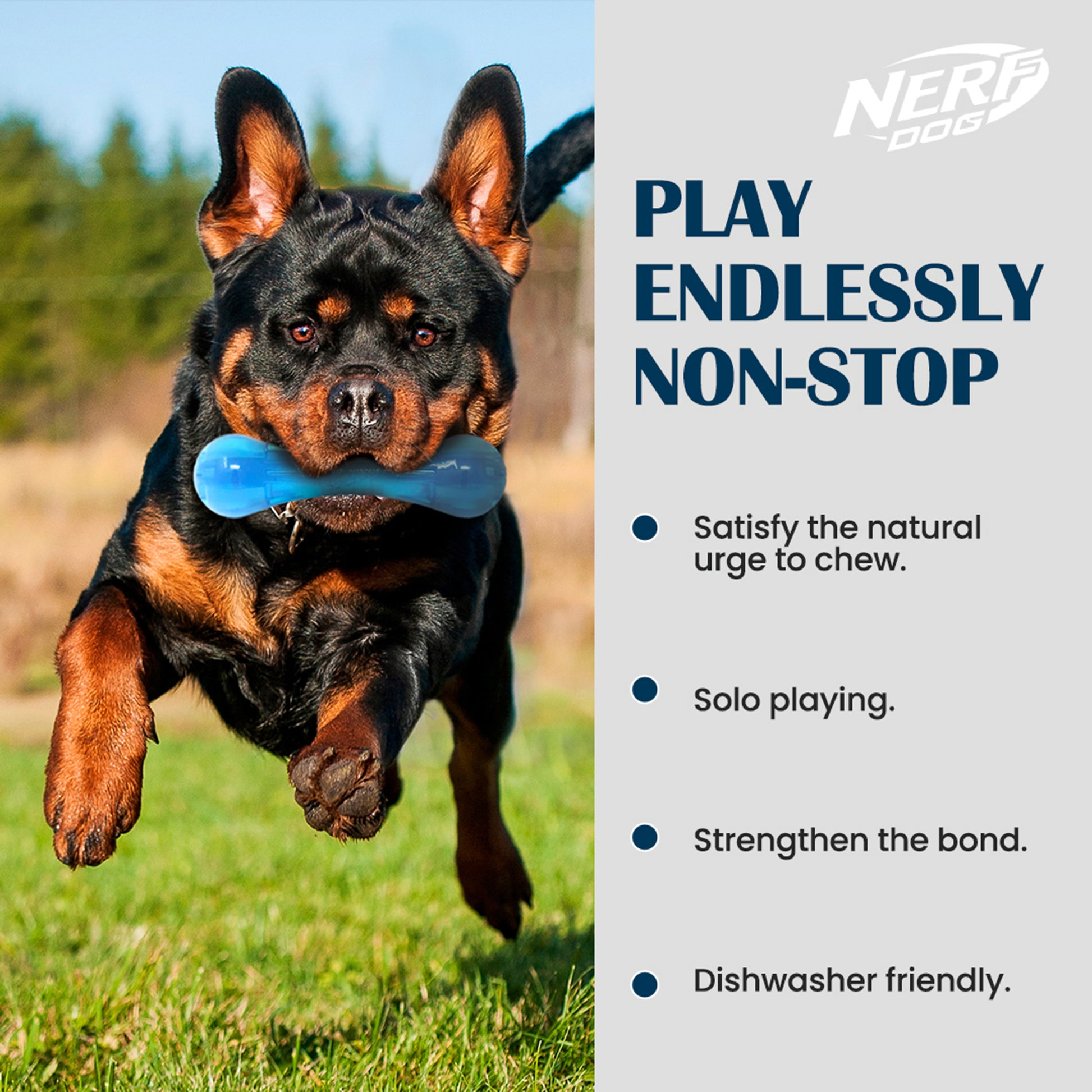 NERF DOG Ultra Tuff Bone Chew Toy For Dog - Blue - Heads Up For Tails