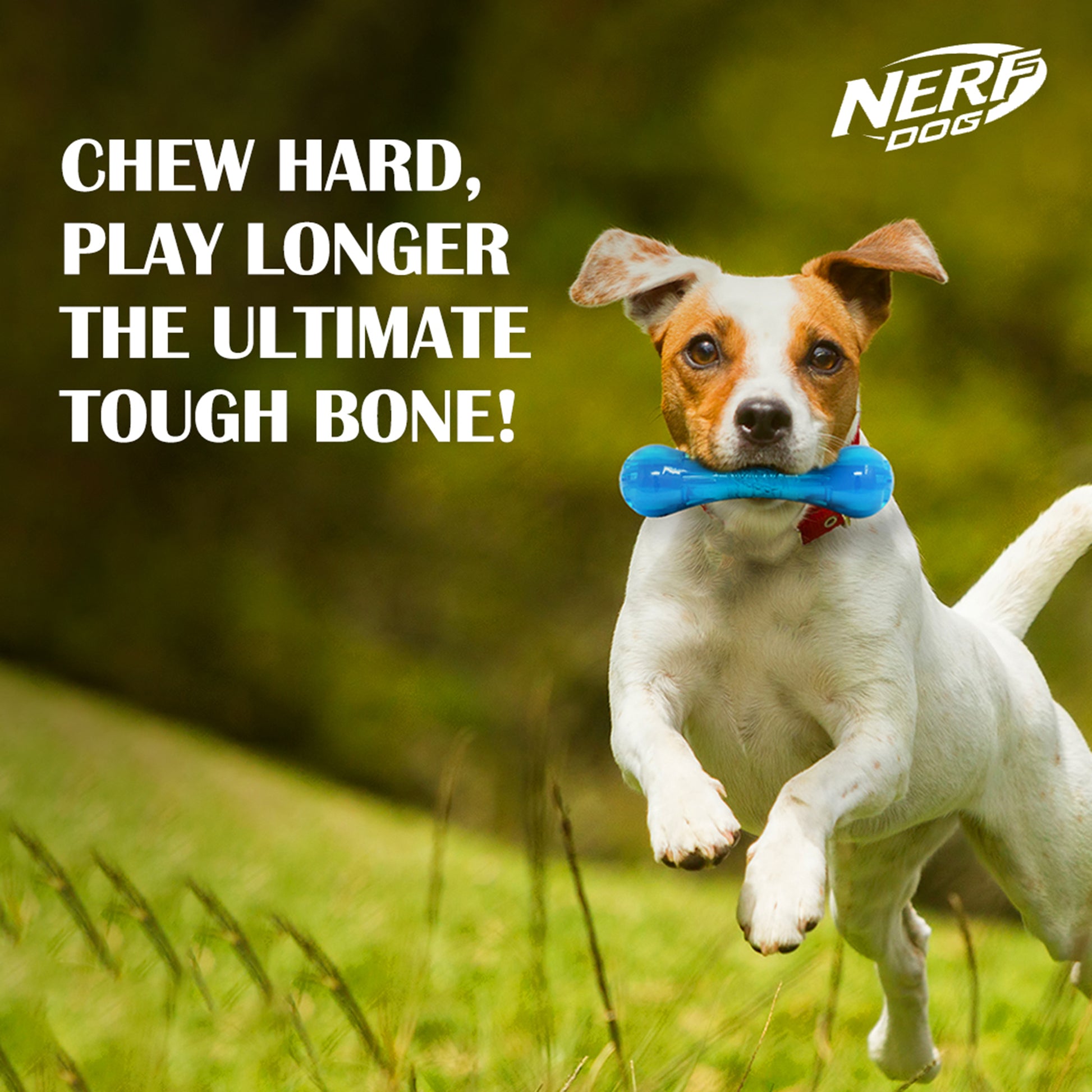 NERF DOG Ultra Tuff Bone Chew Toy For Dog - Blue - Heads Up For Tails