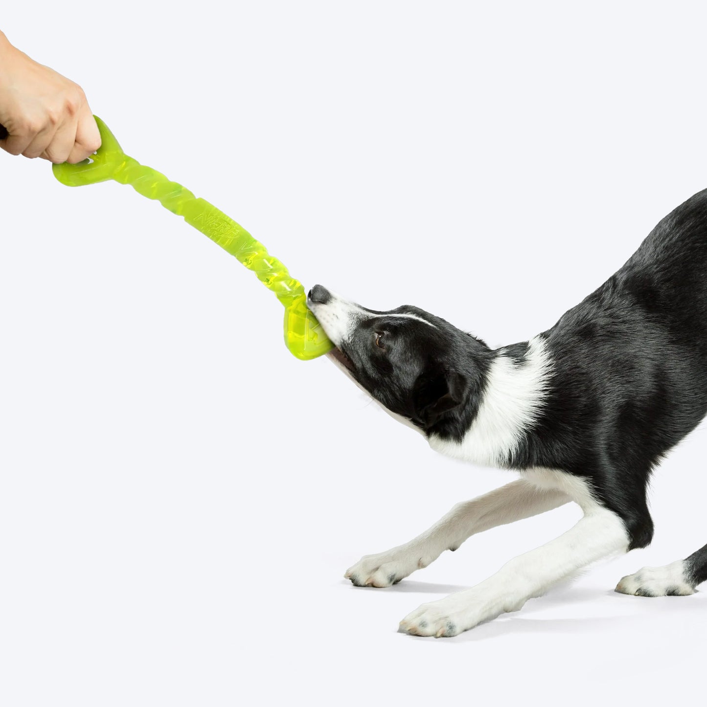 NERF DOG Treat & Tug Bone Chew Toy For Dog - Green - Heads Up For Tails