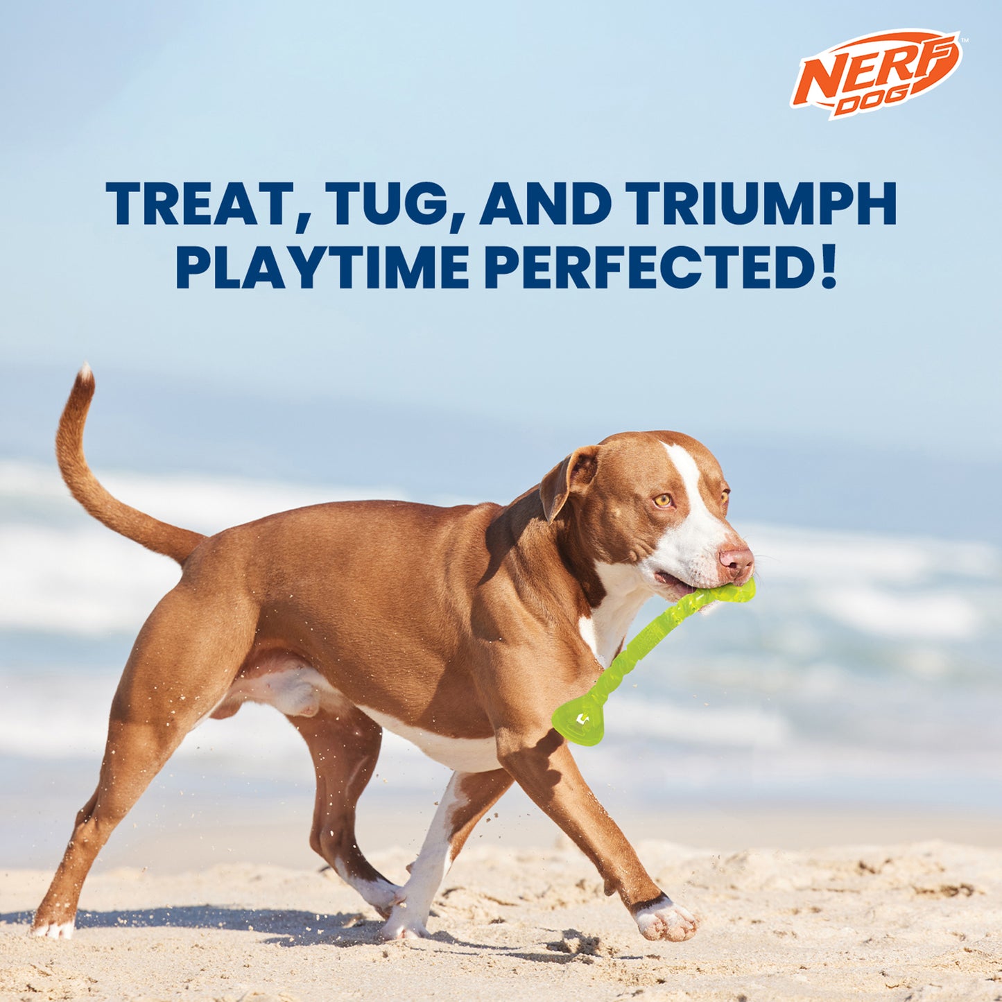 NERF DOG Treat & Tug Bone Chew Toy For Dog - Green - Heads Up For Tails