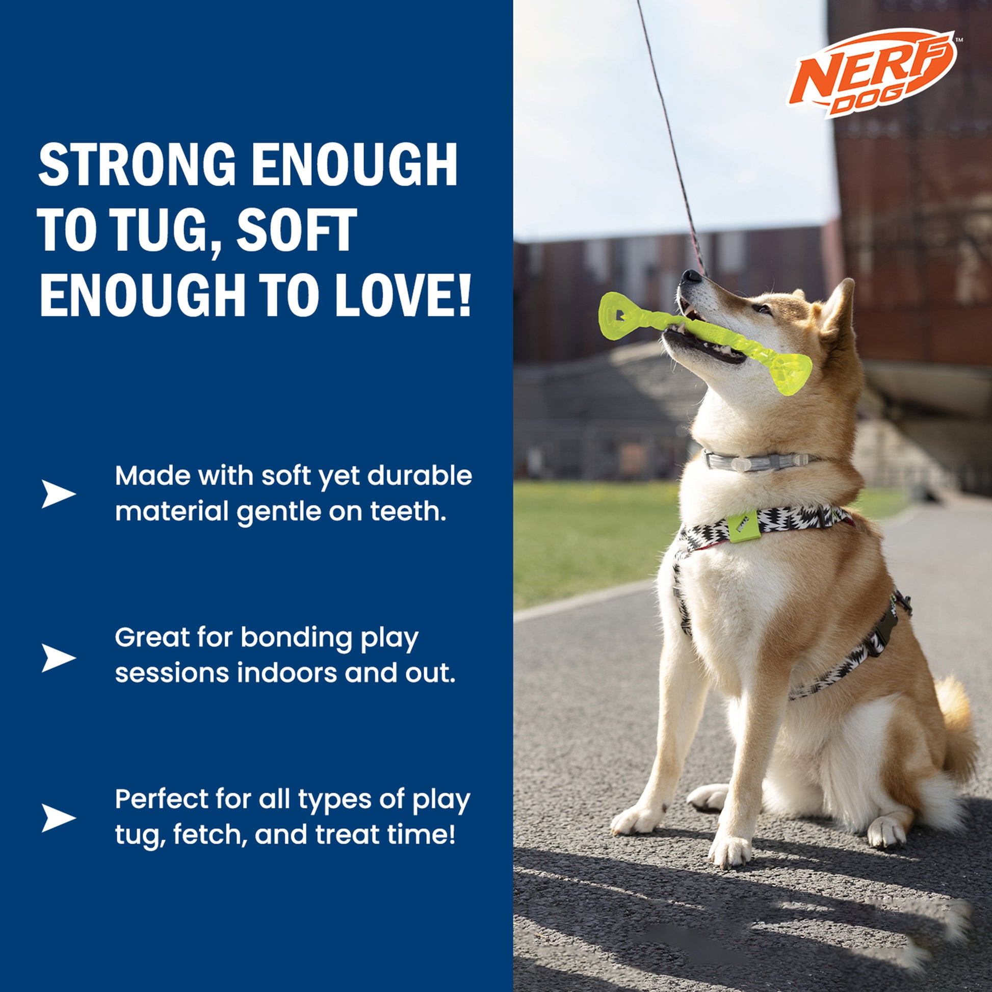 NERF DOG Treat & Tug Bone Chew Toy For Dog - Green - Heads Up For Tails