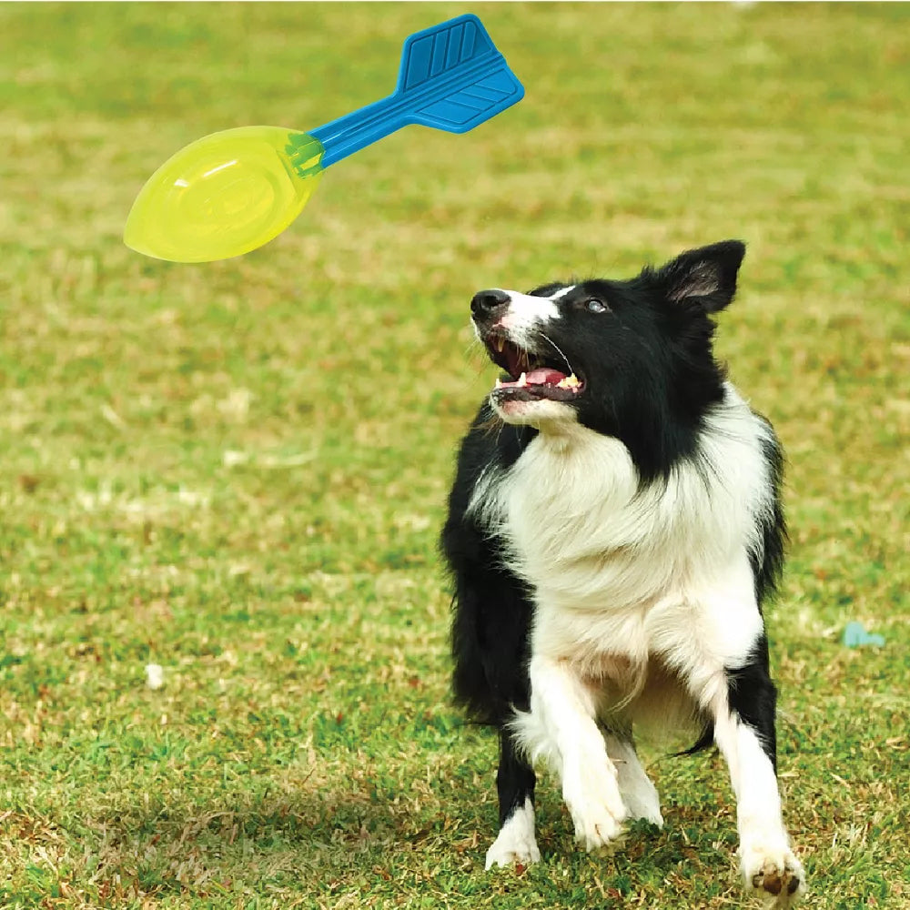 NERF DOG Squeak Vortex Interactive Toy For Dog - Blue & Green - Heads Up For Tails