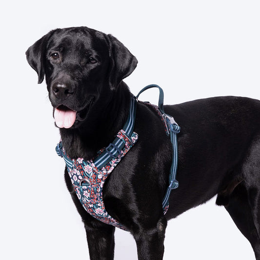 Truelove Floral No Pull Harness For Dog - Navy Blazer - XL - Heads Up For Tails