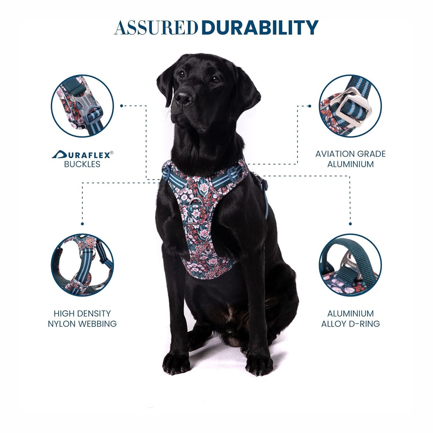 Truelove Floral No Pull Harness For Dog - Navy Blazer - XL - Heads Up For Tails