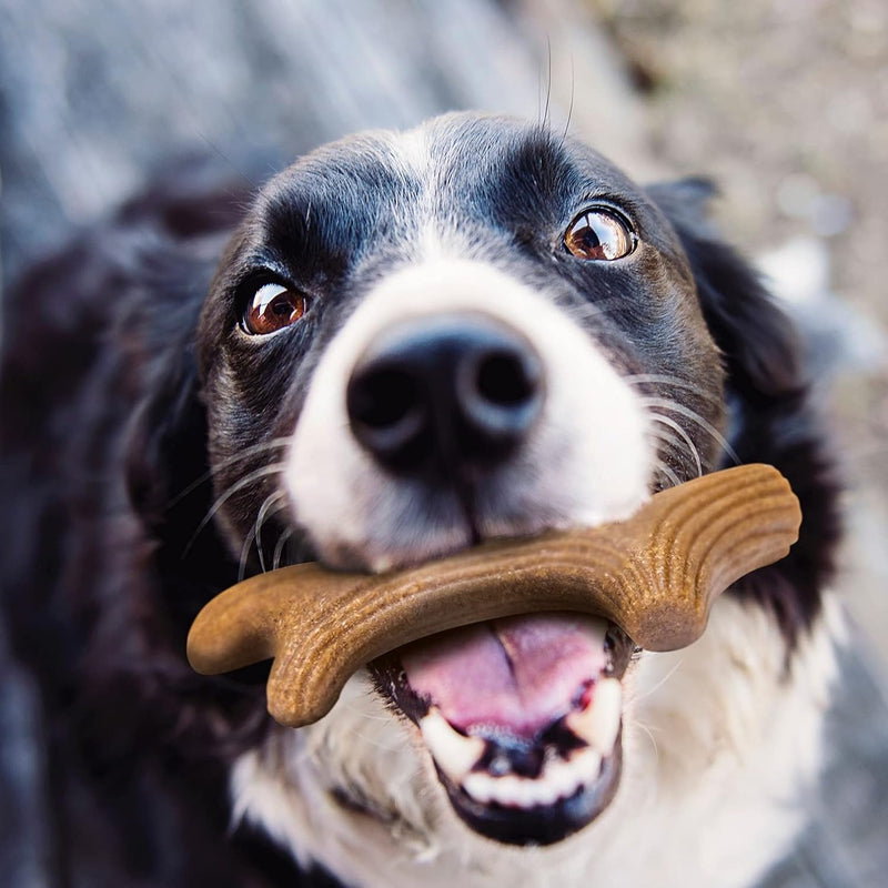 GiGwi Wooden Antler Strong Chew Toy For Dog - Brown - Heads Up For Tails