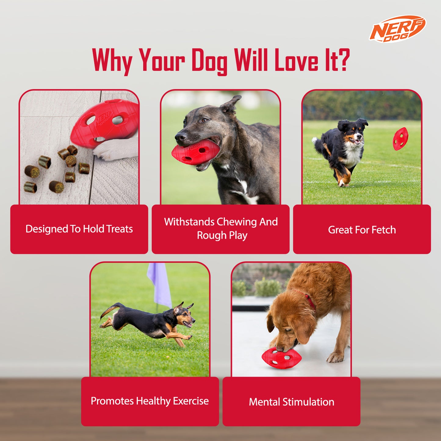 NERF DOG Bash Football Chew Toy For Dog - Heads Up For Tails