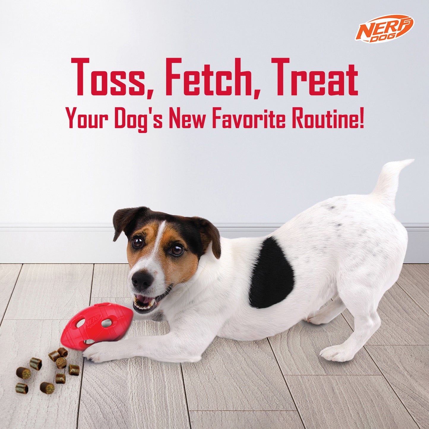 NERF DOG Bash Football Chew Toy For Dog - Heads Up For Tails