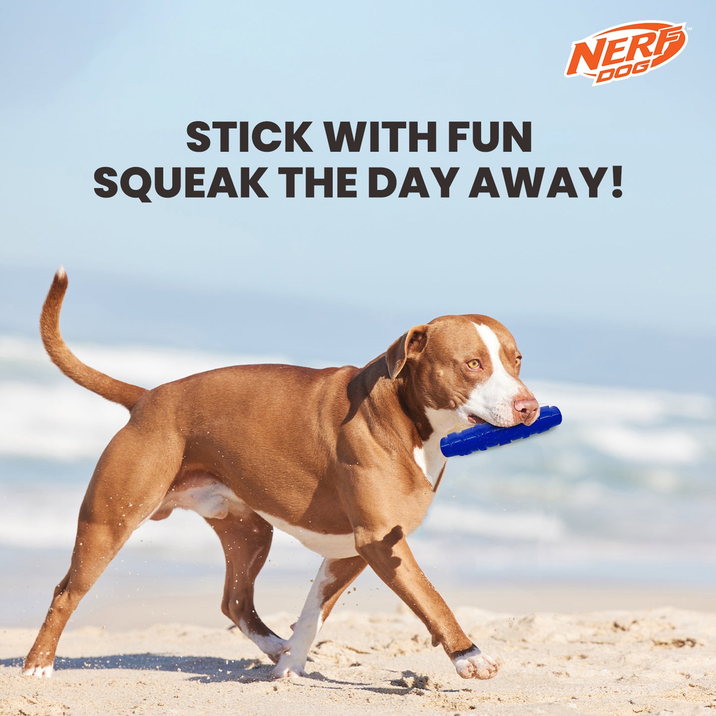 NERF DOG Squeak Stick Interactive Toy For Dog - Blue - Heads Up For Tails