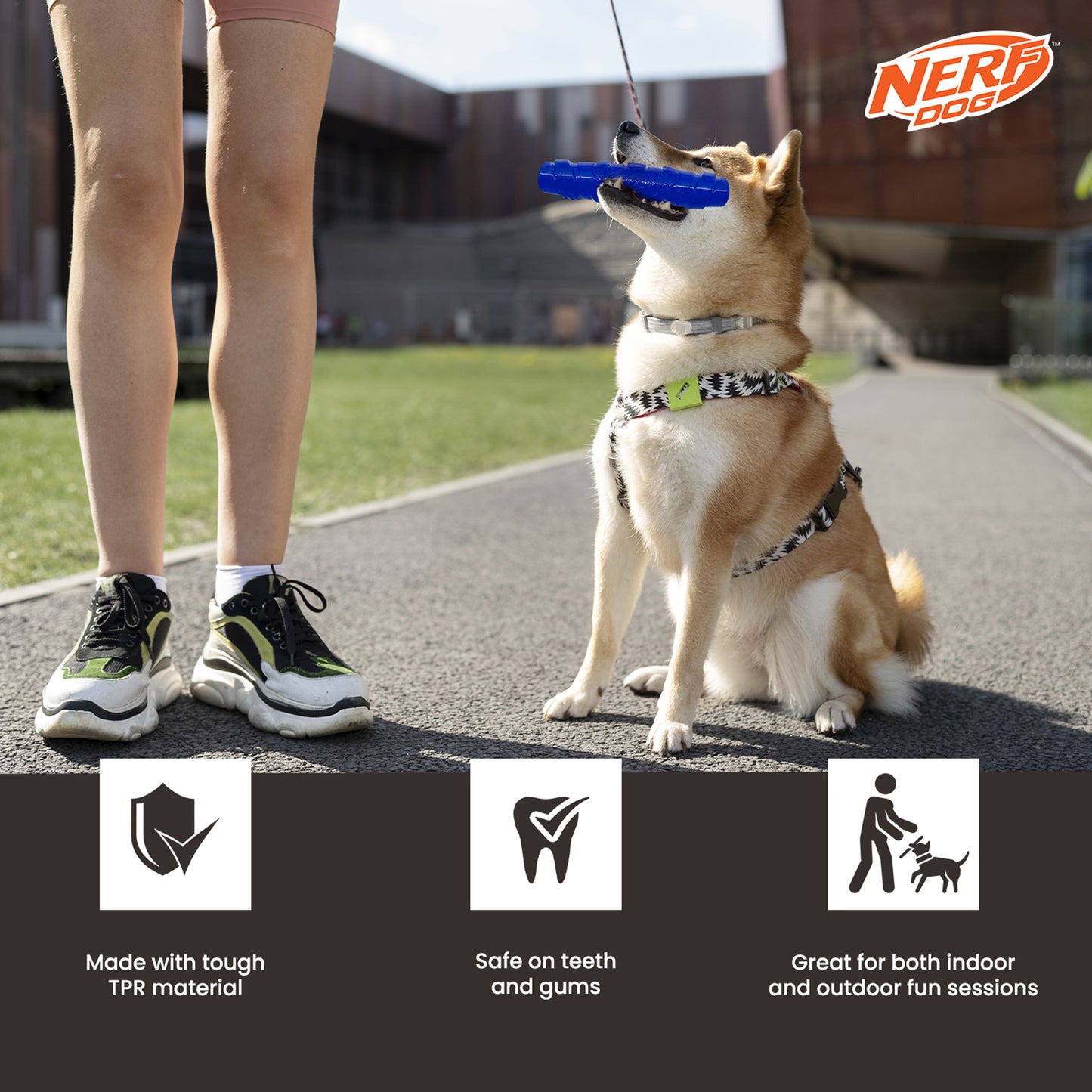 NERF DOG Squeak Stick Interactive Toy For Dog - Blue - Heads Up For Tails