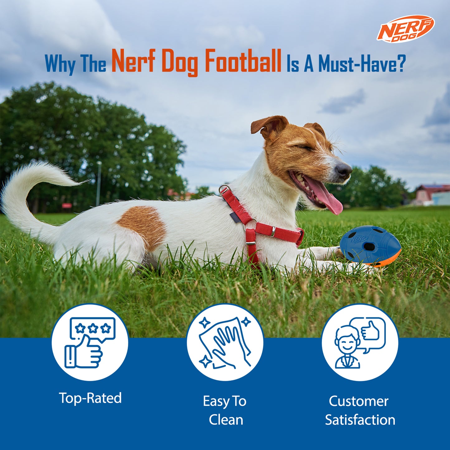 NERF DOG Crinkle & Squeak Football Toy For Dog - Blue & Orange - Heads Up For Tails