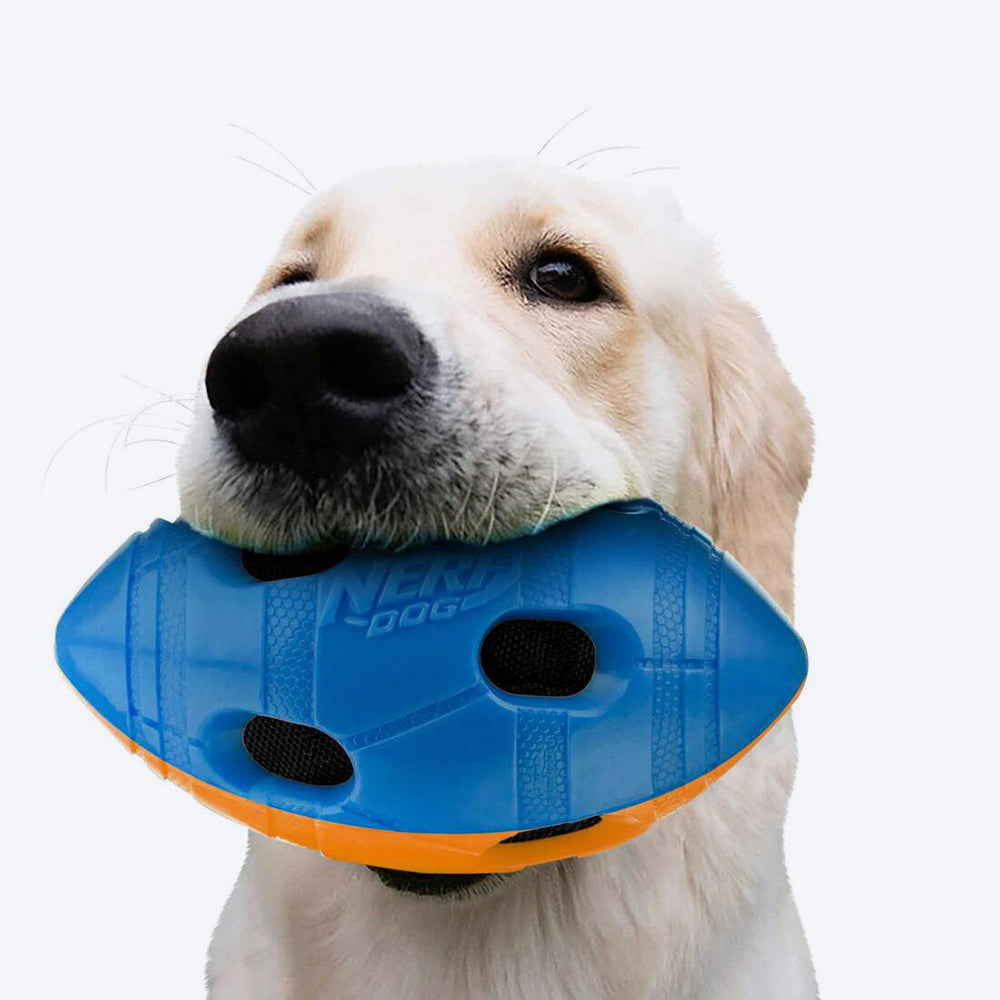 NERF DOG Crinkle & Squeak Football Toy For Dog - Blue & Orange - Heads Up For Tails