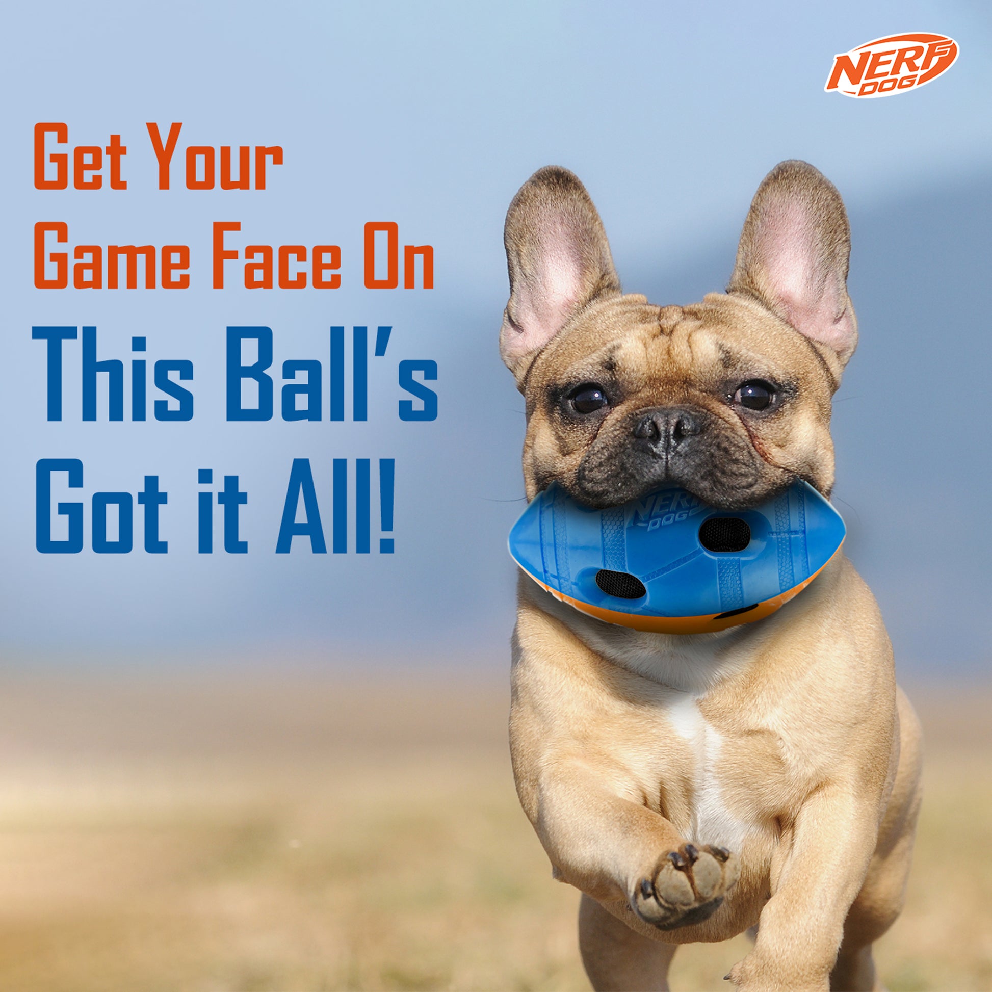 NERF DOG Crinkle & Squeak Football Toy For Dog - Blue & Orange - Heads Up For Tails