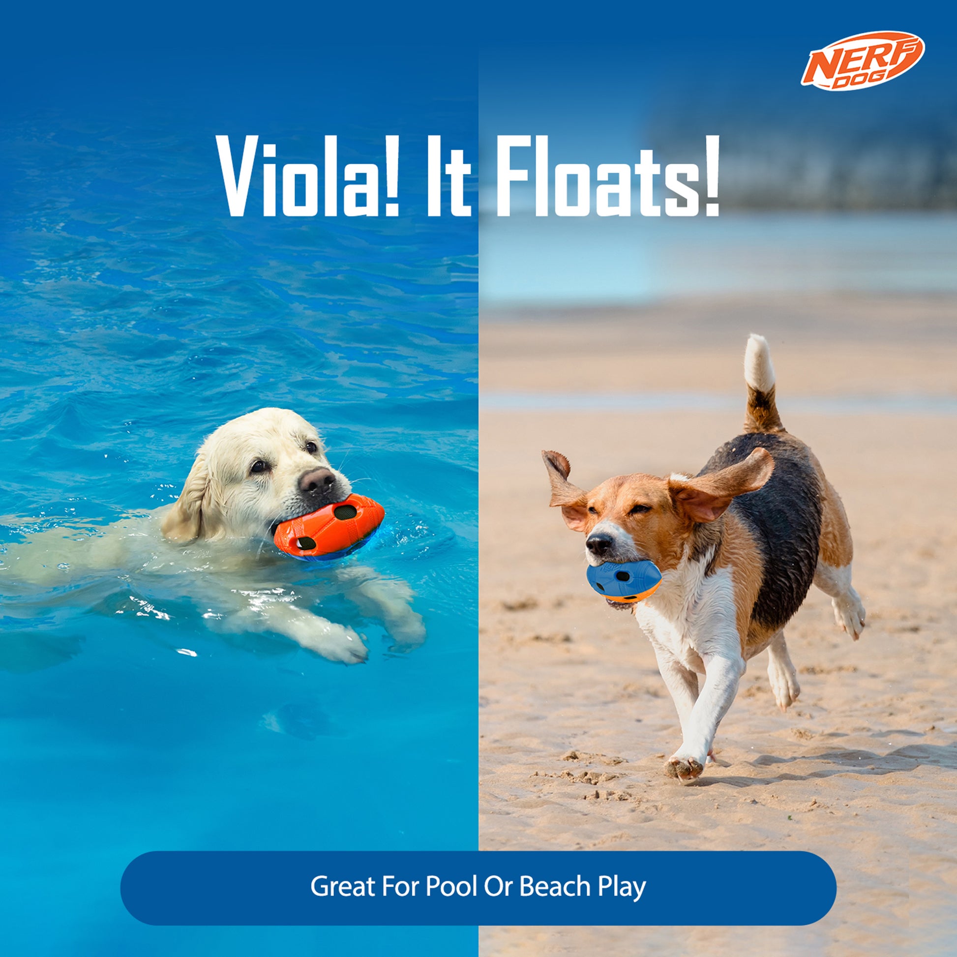 NERF DOG Crinkle & Squeak Football Toy For Dog - Blue & Orange - Heads Up For Tails