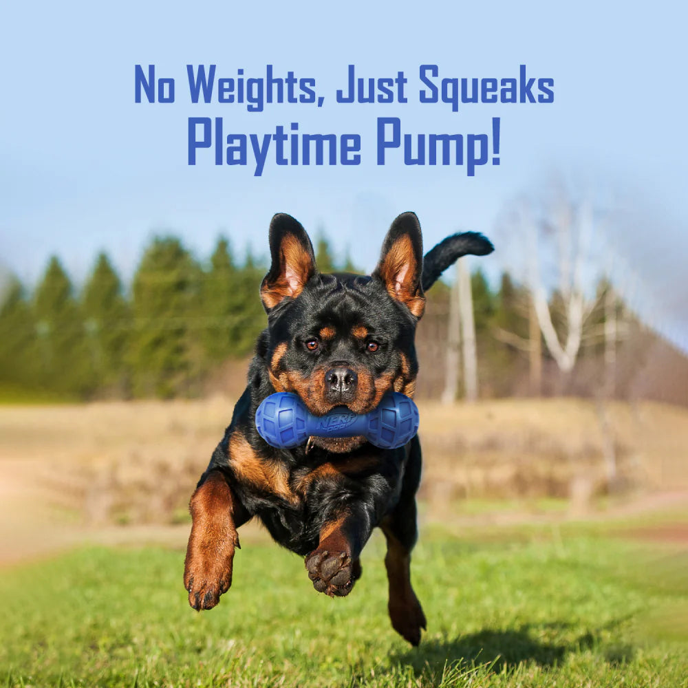 NERF DOG EXO Micro Squeak Barbell Chew Toy For Dog - Blue - Heads Up For Tails