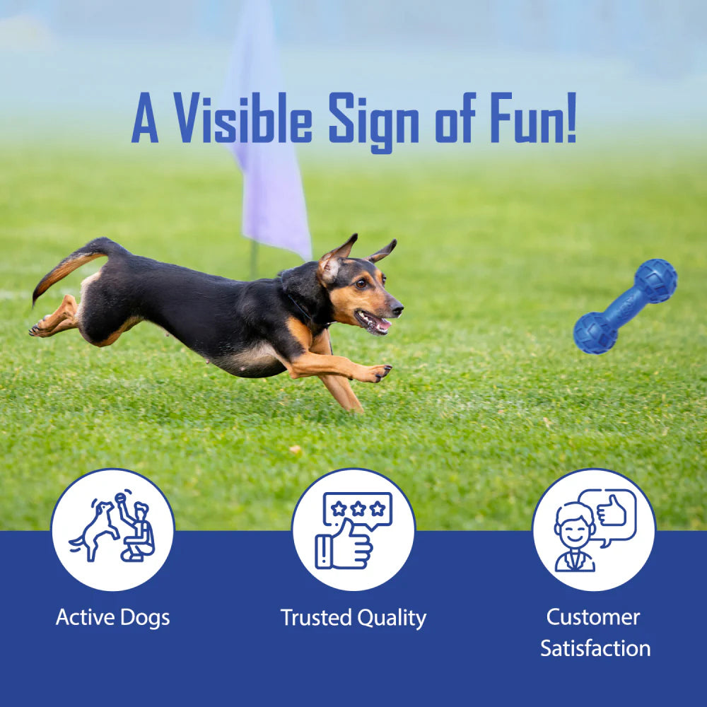 NERF DOG EXO Micro Squeak Barbell Chew Toy For Dog - Blue - Heads Up For Tails